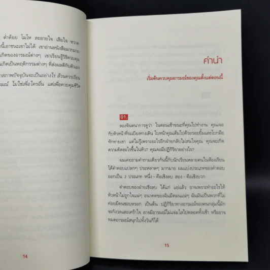 ควบคุมอารมณ์ได้ เป็นนายชีวิต - Song Xiaodong (ซังเสี่ยวตง) รูปที่ 9