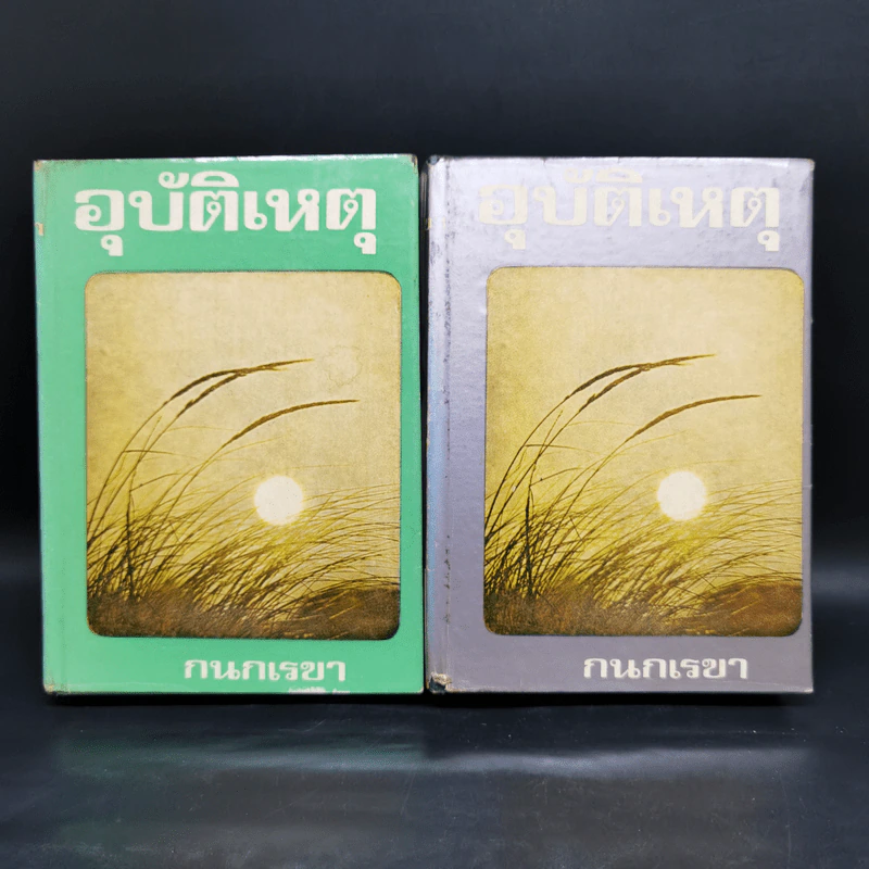 อุบัติเหตุ 2 เล่มจบ - กนกเรขา รูปที่ 1