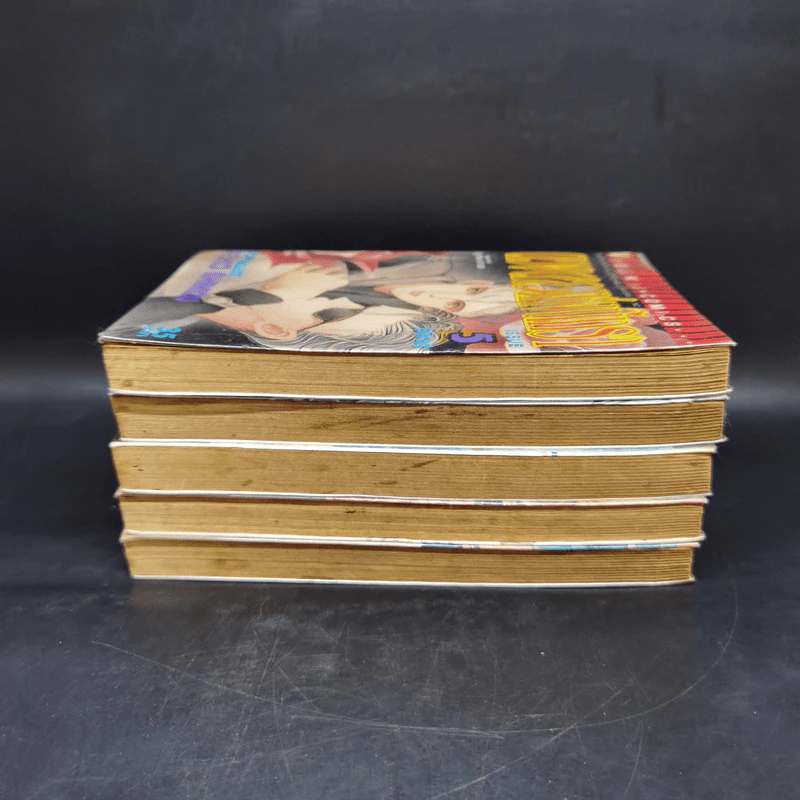 ดวงดาวแห่งนิทรา 5 เล่มจบ - Reiko Shimizu รูปที่ 4