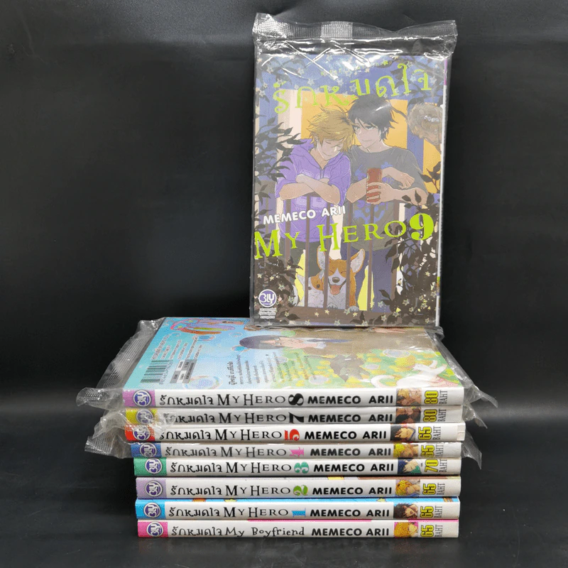 การ์ตูนวาย รักหมดใจ My Hero เล่ม 1-9 - Memeco Arii รูปที่ 1