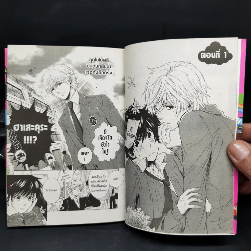 การ์ตูนวาย รักหมดใจ My Hero เล่ม 1-9 - Memeco Arii รูปที่ 7