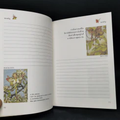 ของขวัญ - บันไดไม้ รูปที่ 11
