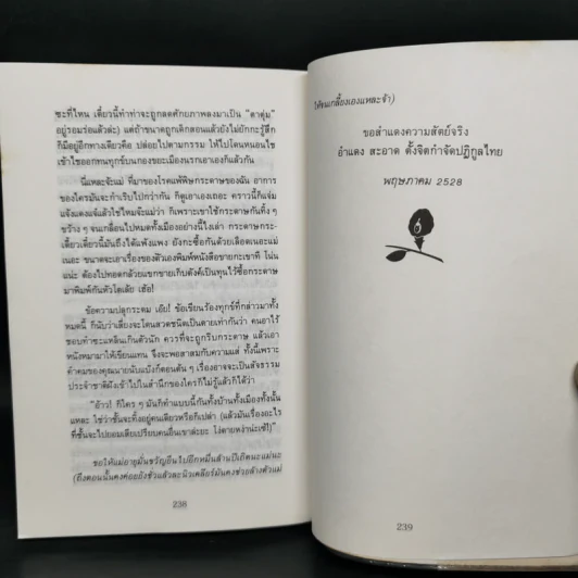 อัญมณีแห่งชีวิต - อัญชัน รูปที่ 11
