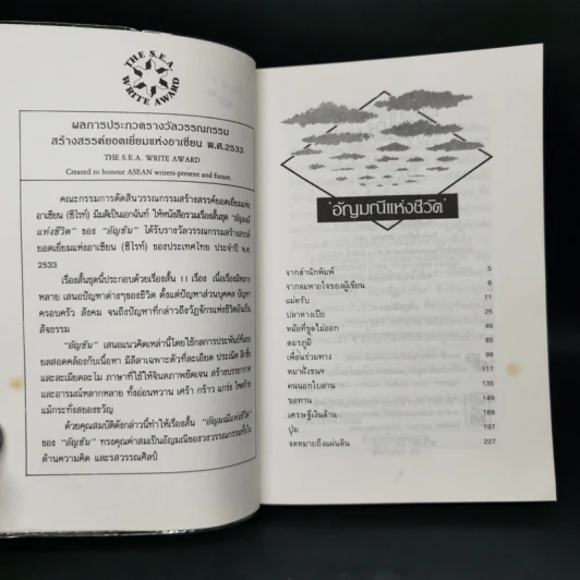 อัญมณีแห่งชีวิต - อัญชัน รูปที่ 8