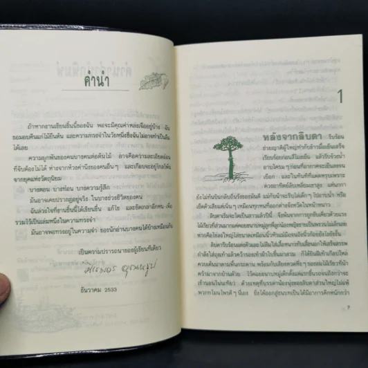 ใจดวงร้าว - ศิเรมอร อุณหธูป รูปที่ 9