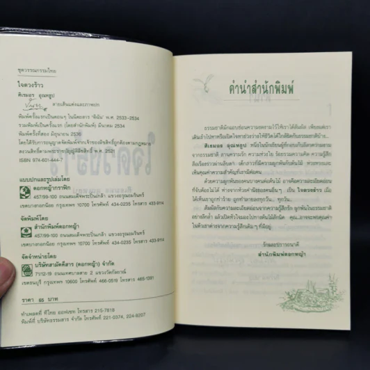 ใจดวงร้าว - ศิเรมอร อุณหธูป รูปที่ 8