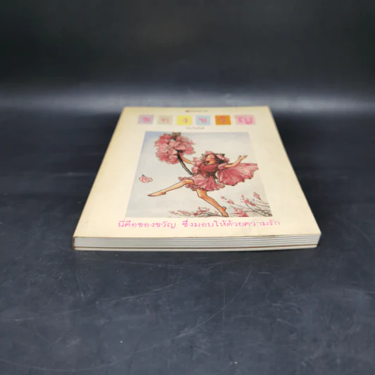ของขวัญ - บันไดไม้ รูปที่ 4