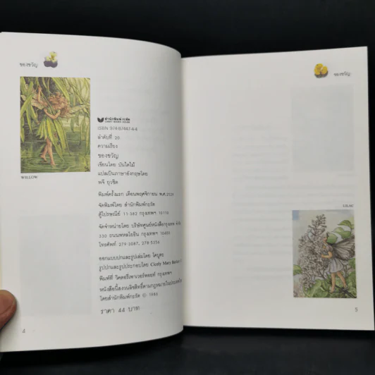 ของขวัญ - บันไดไม้ รูปที่ 10