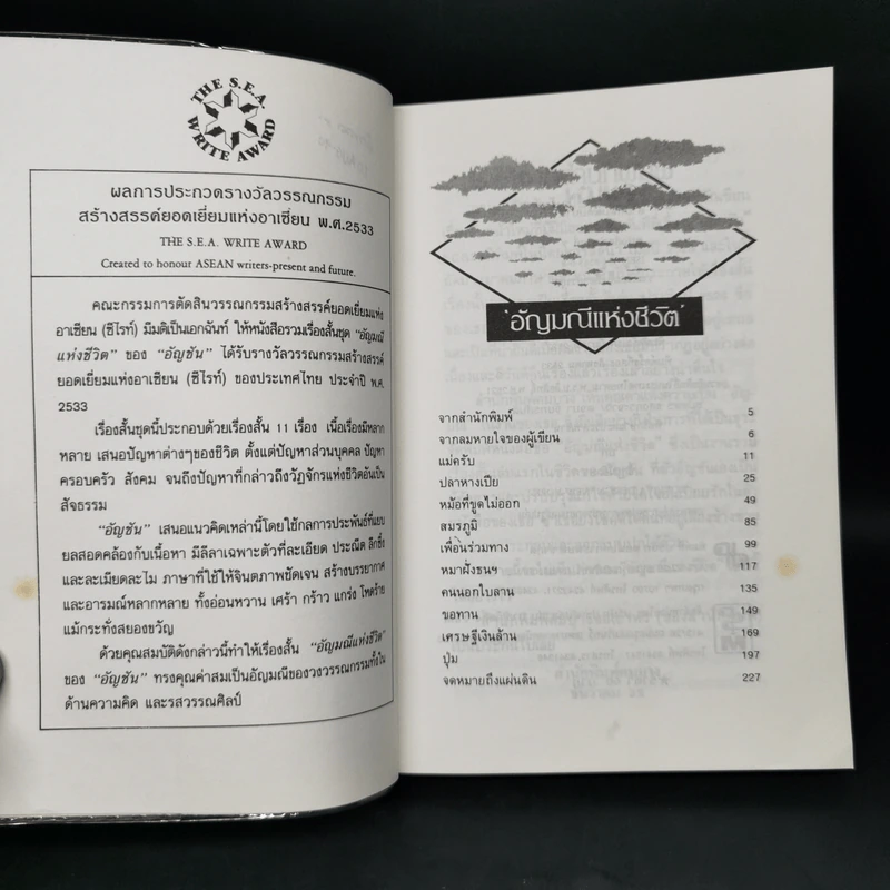 อัญมณีแห่งชีวิต - อัญชัน รูปที่ 8