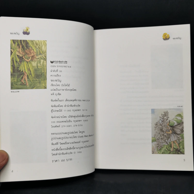 ของขวัญ - บันไดไม้ รูปที่ 10