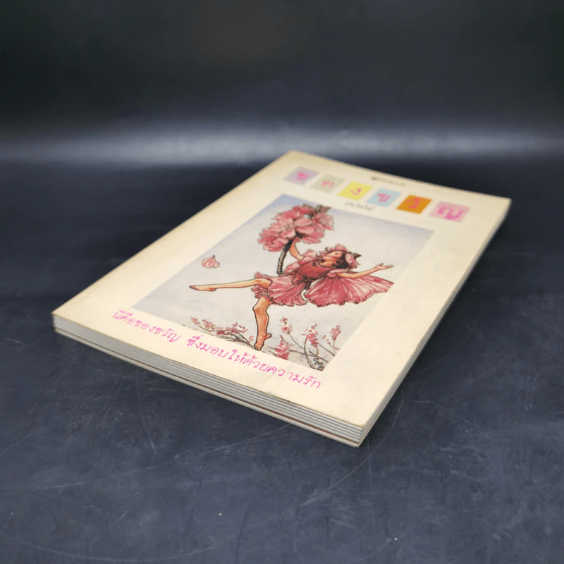 ของขวัญ - บันไดไม้ รูปที่ 7