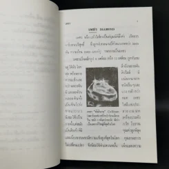 เพชรพลอยไข่มุก - ป.เหมชะญาติ รูปที่ 13
