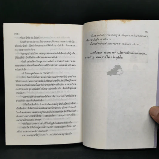 อมาญาส์ - จันทรำไพ รูปที่ 10
