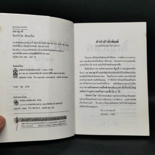 อมาญาส์ - จันทรำไพ รูปที่ 8