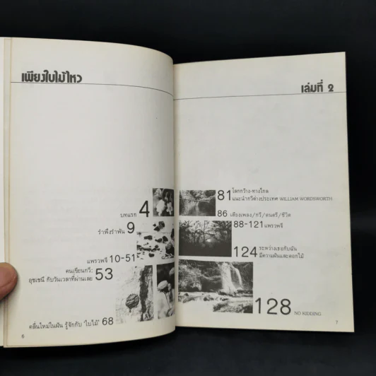 เพียงใบไม้ไหว - แพรว รูปที่ 9