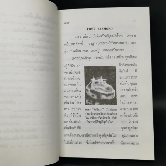 เพชรพลอยไข่มุก - ป.เหมชะญาติ รูปที่ 13