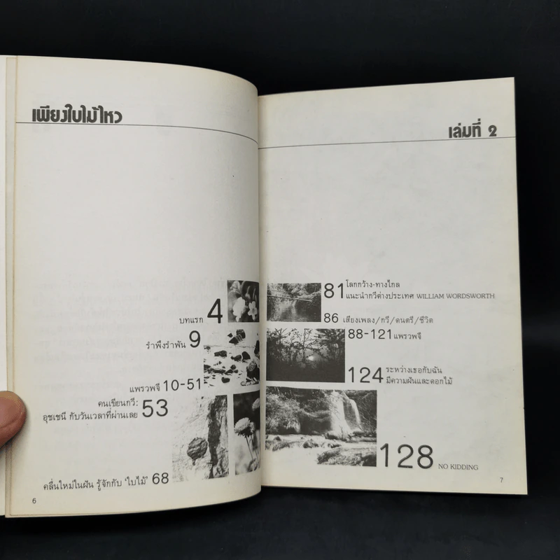 เพียงใบไม้ไหว - แพรว รูปที่ 9