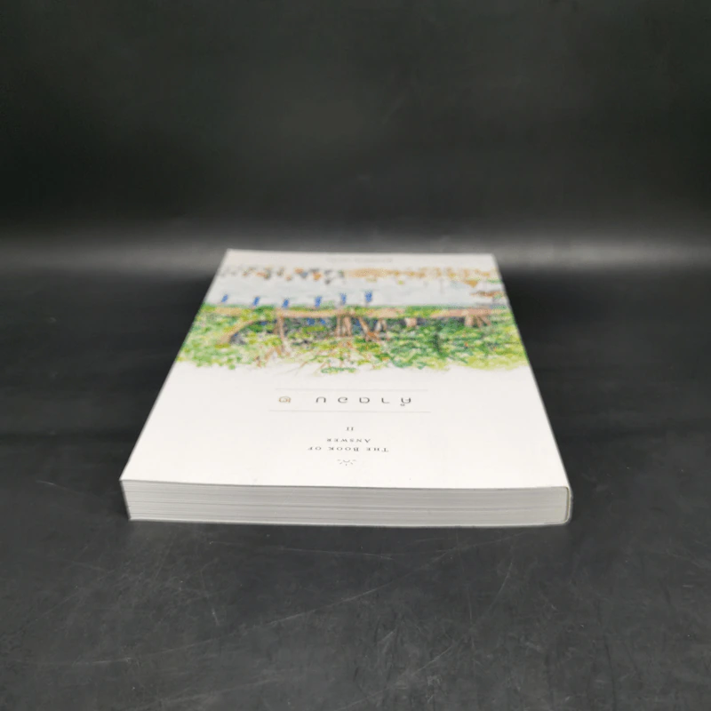 คำตอบ 2 The Book of Answer II - พระไพศาล วิสาโล รูปที่ 6