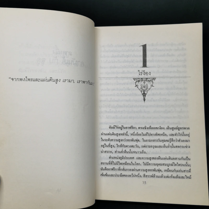 พรากจากแสงตะวัน - ไอแซค ไดนีเสน รูปที่ 12