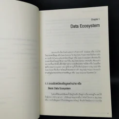 BIG DATA SERIES เล่ม 2 - ดร.อสมา กุลวานิชไชยนันท์ รูปที่ 11