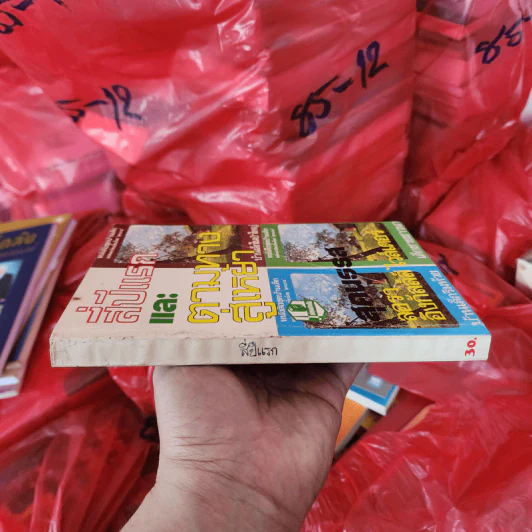 สี่ปีแรก ตามทางสู่เหย้า หนังสือชุดบ้านเล็ก รูปที่ 2