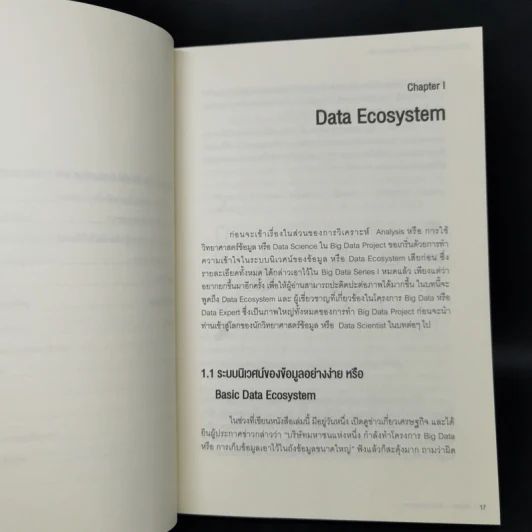BIG DATA SERIES เล่ม 2 - ดร.อสมา กุลวานิชไชยนันท์ รูปที่ 11