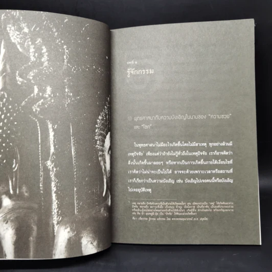 แกะรอยกรรม สู่รอยธรรม - พระไพศาล วิสาโล รูปที่ 9