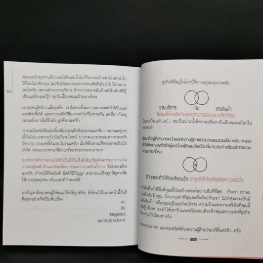 วิชาอาแปะ ล้ม ลุก คลุก รวย อาแปะสอนรวย - ธวัชชัย พืชผล รูปที่ 11