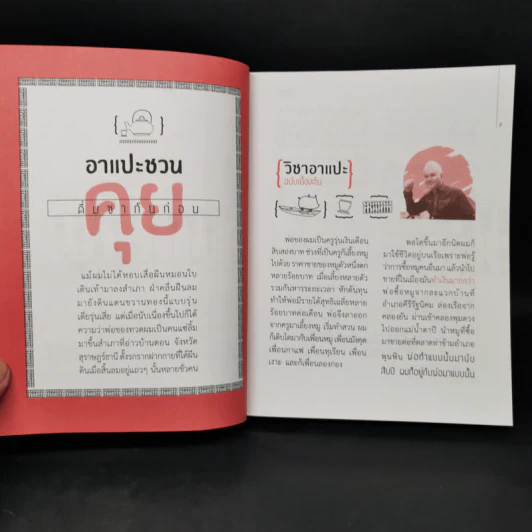 วิชาอาแปะ ล้ม ลุก คลุก รวย อาแปะสอนรวย - ธวัชชัย พืชผล รูปที่ 8