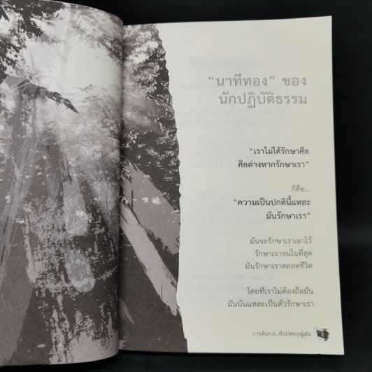 การเดินทางที่ปราศจากผู้เดิน - Camouflage รูปที่ 10