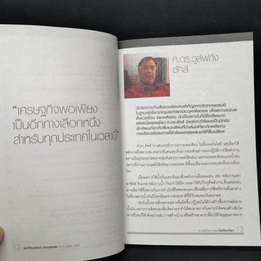 เศรษฐกิจพอเพียงในทัศนะโลก รูปที่ 9
