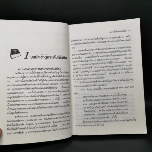 สำรวจพระคัมภีร์เดิม - พอล เบนแวร์ รูปที่ 11