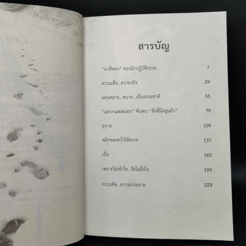 การเดินทางที่ปราศจากผู้เดิน - Camouflage รูปที่ 9