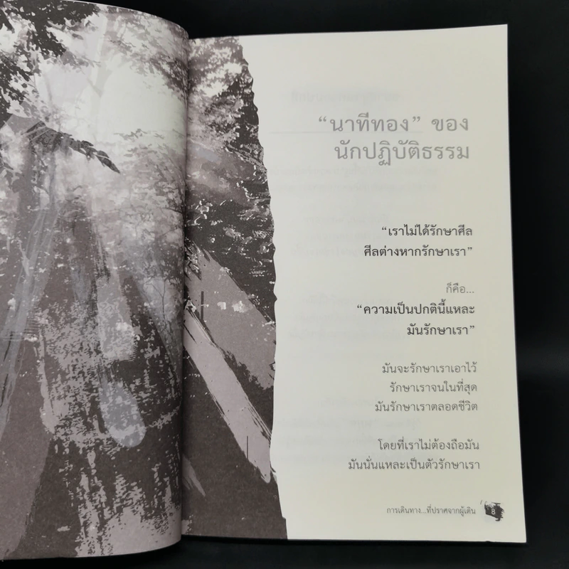 การเดินทางที่ปราศจากผู้เดิน - Camouflage รูปที่ 10