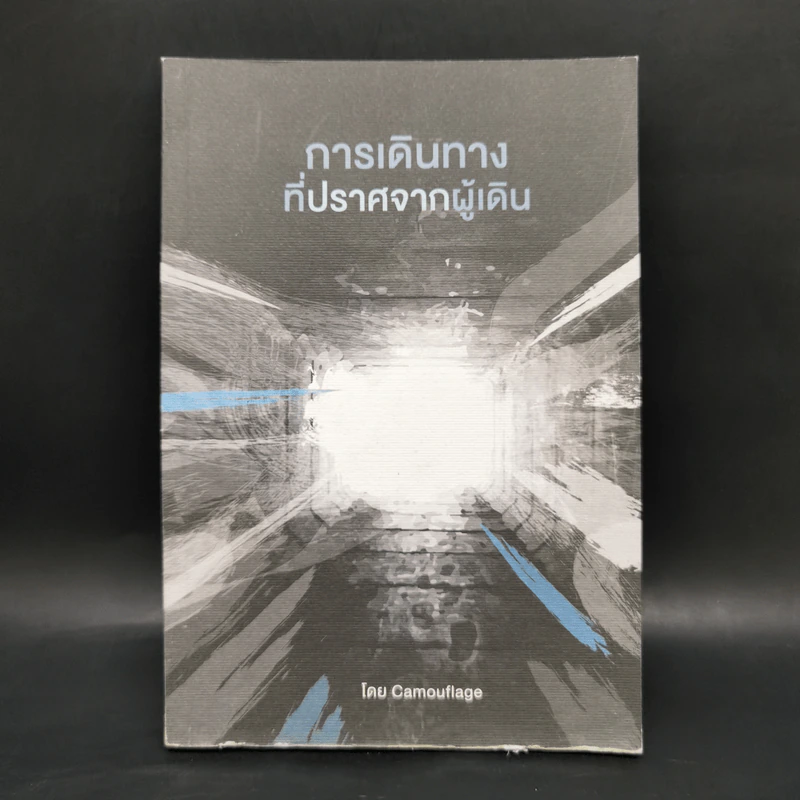 การเดินทางที่ปราศจากผู้เดิน - Camouflage รูปที่ 1