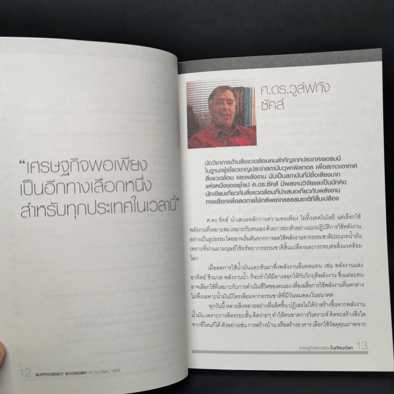 เศรษฐกิจพอเพียงในทัศนะโลก รูปที่ 9