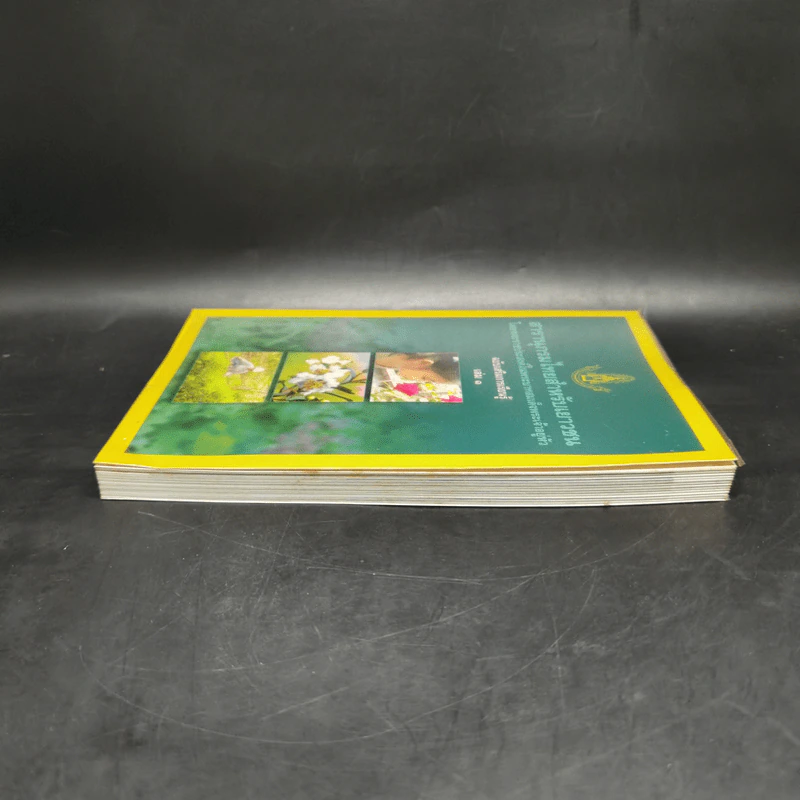 สารานุกรมไทยสำหรับเยาวชน ฉบับเสริมการเรียนรู้ เล่ม 1 ไม้ดอกหอมของไทย ไม้ในวรรณคดีไทย สมุนไพร รูปที่ 5
