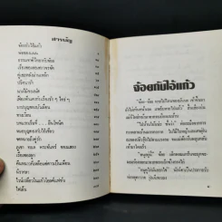 คืนหนาวที่เหลือแต่ดาวเป็นเพื่อน - สุวรรณี สุคนธา รูปที่ 9