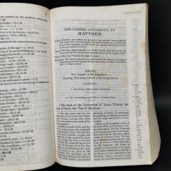 The New Testament Recovery Version รูปที่ 9