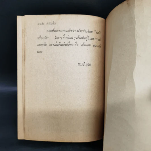 ผสมสิบ - ทมยันตี รูปที่ 11