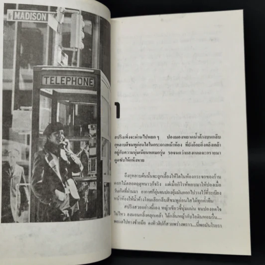 ห้าพันไมล์ในสหรัฐและเที่ยวดิสนีย์เวิร์ลด์ - โสภาค สุวรรณ รูปที่ 8