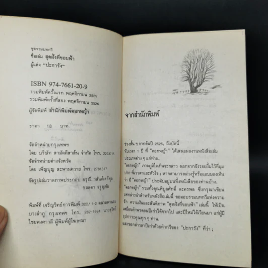 สุดฝั่งที่ขอบฟ้า - ปะการัง รูปที่ 8