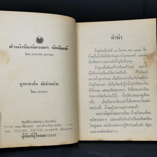 เรื่องของน้ำพุ - วงศ์เมือง นันทขว้าง รูปที่ 8