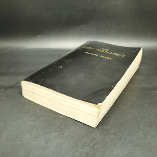 The New Testament Recovery Version รูปที่ 7