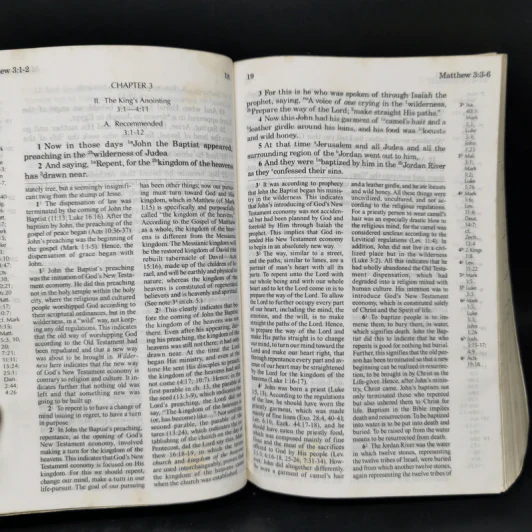 The New Testament Recovery Version รูปที่ 10