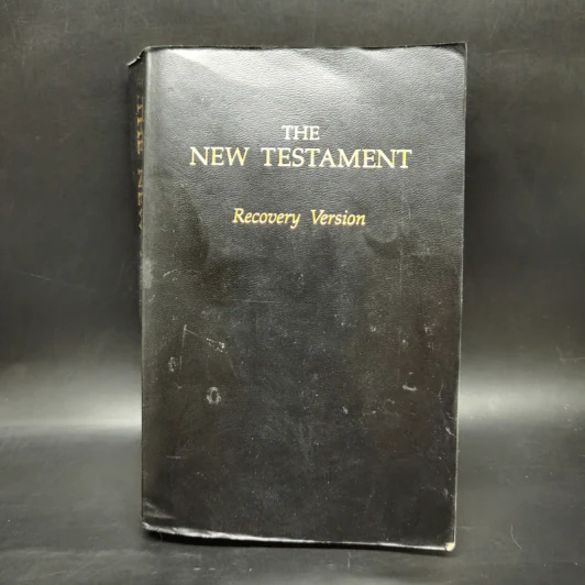 The New Testament Recovery Version รูปที่ 1