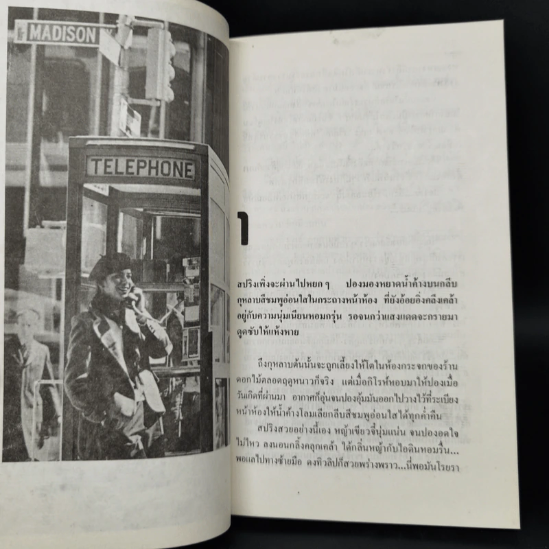 ห้าพันไมล์ในสหรัฐและเที่ยวดิสนีย์เวิร์ลด์ - โสภาค สุวรรณ รูปที่ 8