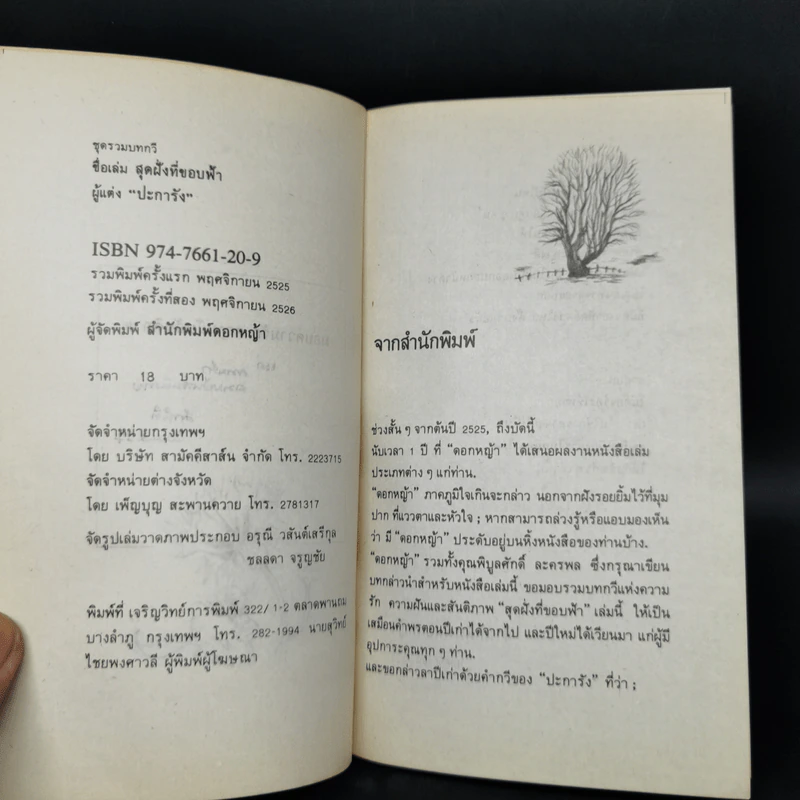 สุดฝั่งที่ขอบฟ้า - ปะการัง รูปที่ 8
