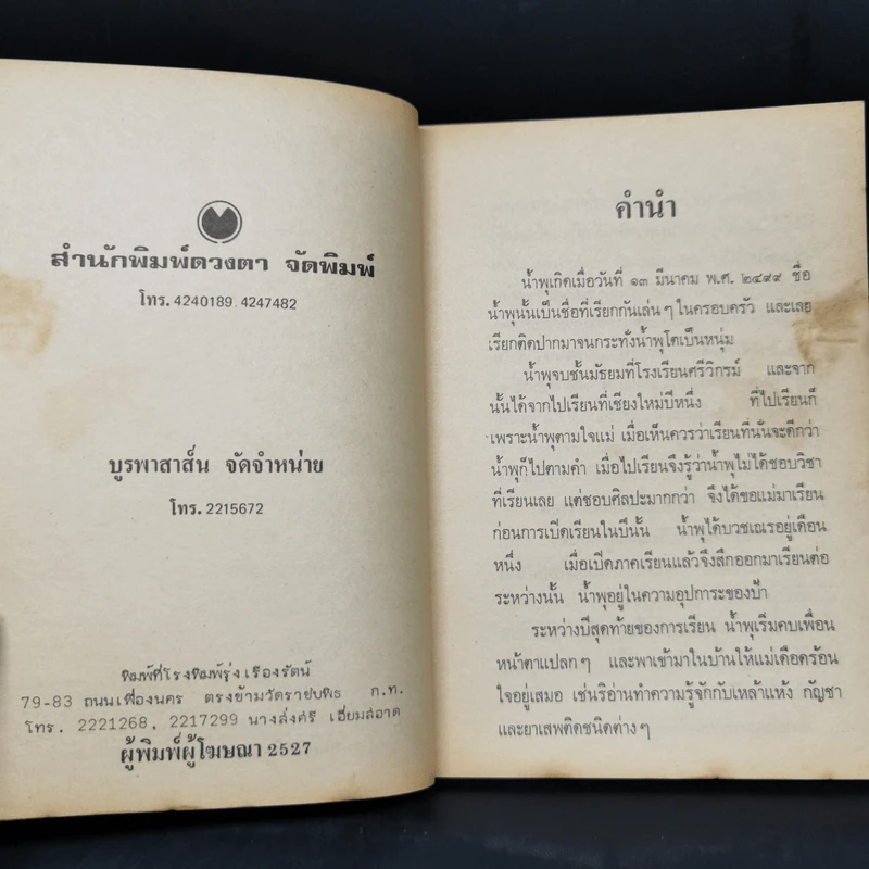 เรื่องของน้ำพุ - วงศ์เมือง นันทขว้าง รูปที่ 8