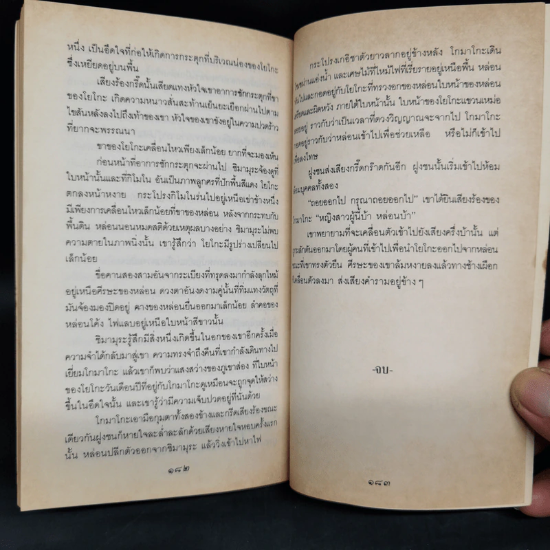 เมืองหิมะ - ยาสึนาริ คาวาบาตะ รูปที่ 8
